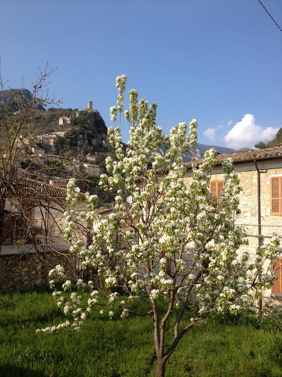 Il Borgo Agriturismo Ferentillo Exterior photo